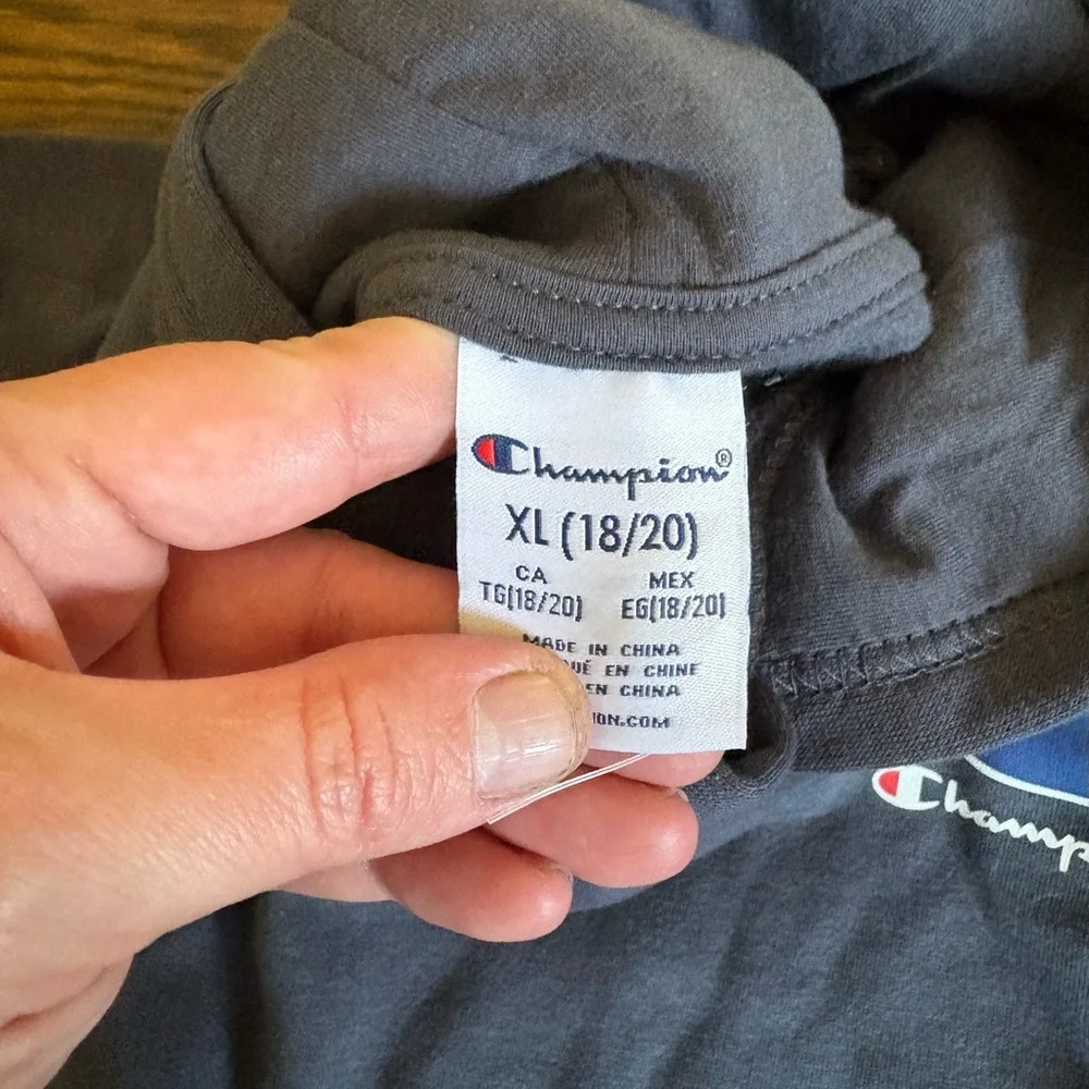 Boys champion hoodie NWOT